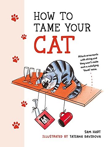 How to Tame Your Cat