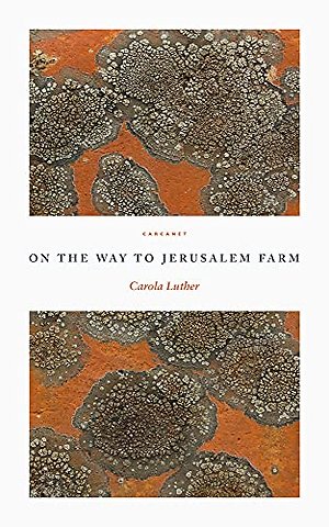 On the Way to Jerusalem Farm