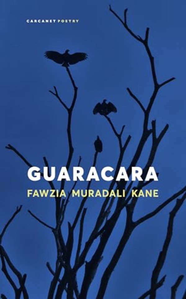Guaracara