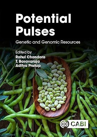 Potential Pulses