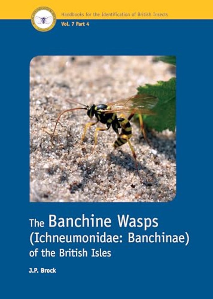 The Banchine Wasps (Ichneumonidae: Banchinae) of the British Isles