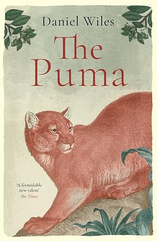 The Puma