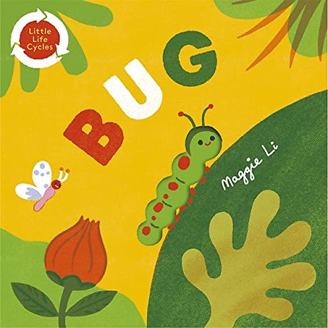 Little Life Cycles: Bug