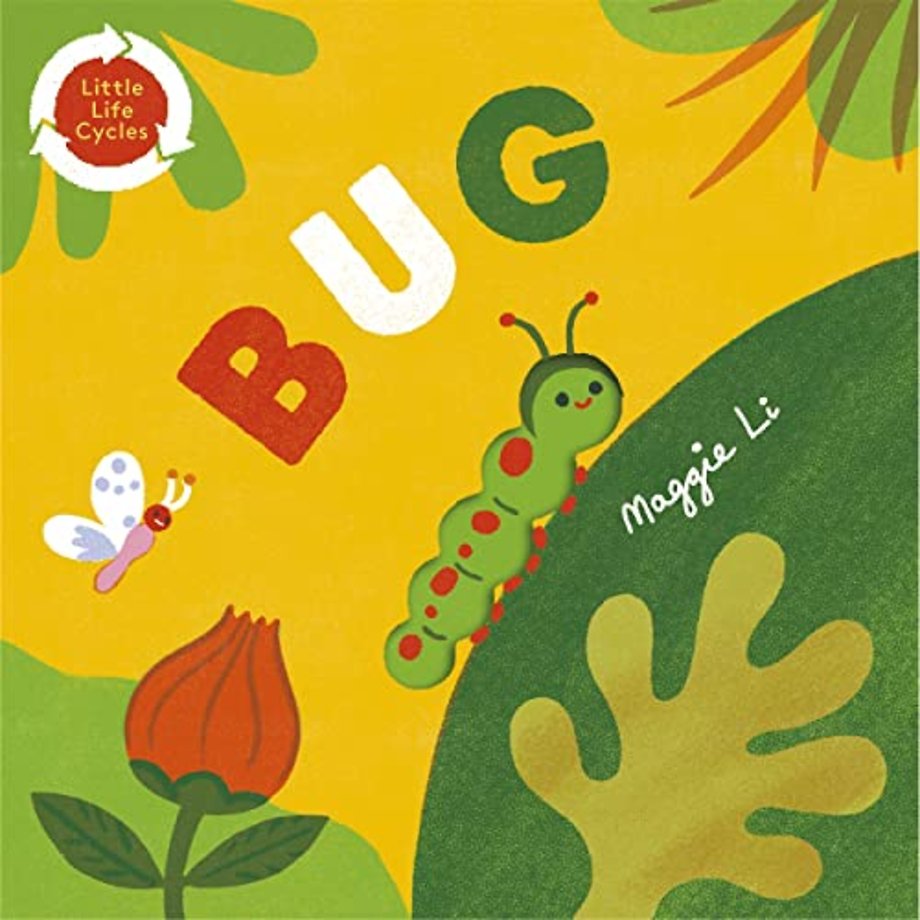 Little Life Cycles: Bug