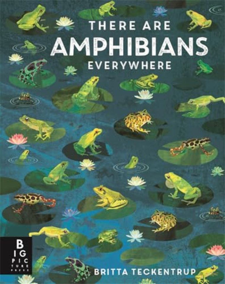 There Are Amphibians Everywhere