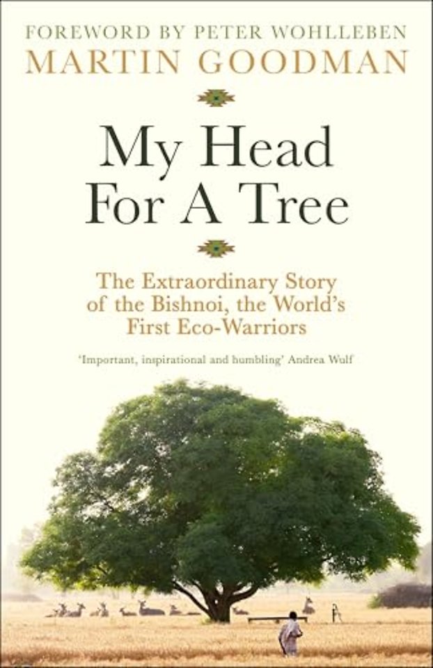 My Head For A Tree