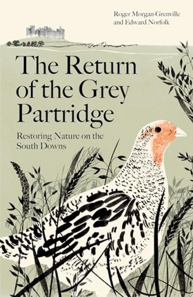 The Return of the Grey Partridge