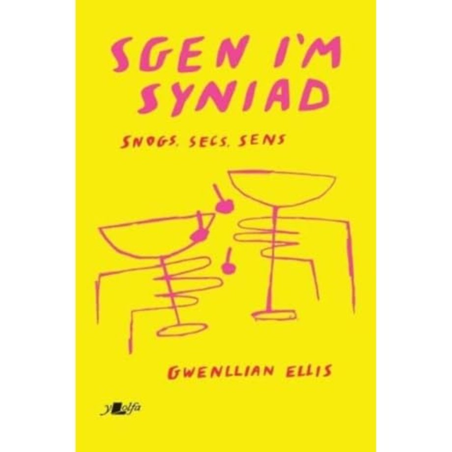 Sgen I'm Syniad - Snogs, Secs, Sens