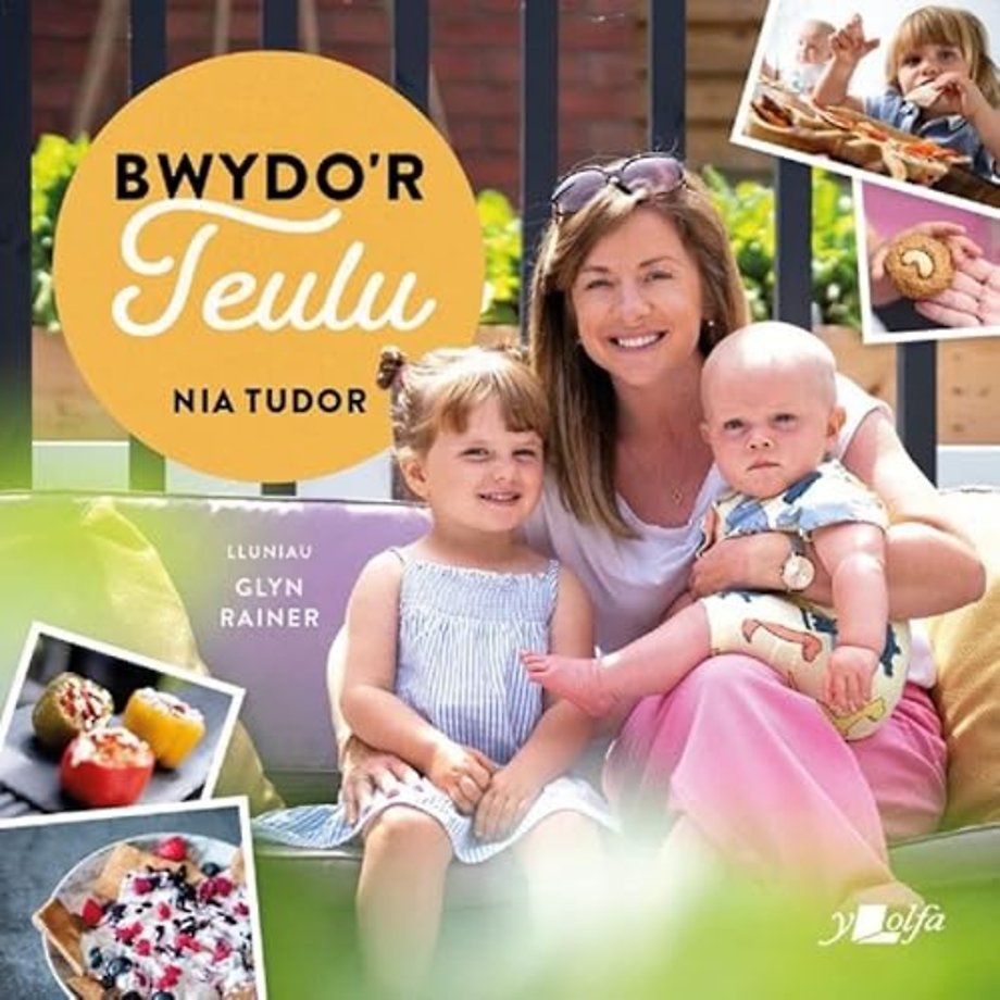 Bwydo'r Teulu - Ryseitiau Iachus a Blasus i'r Teulu Cyfan