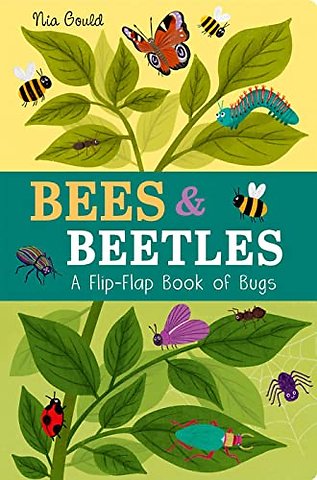 Bees & Beetles: A Flip-Flap Book of Bugs