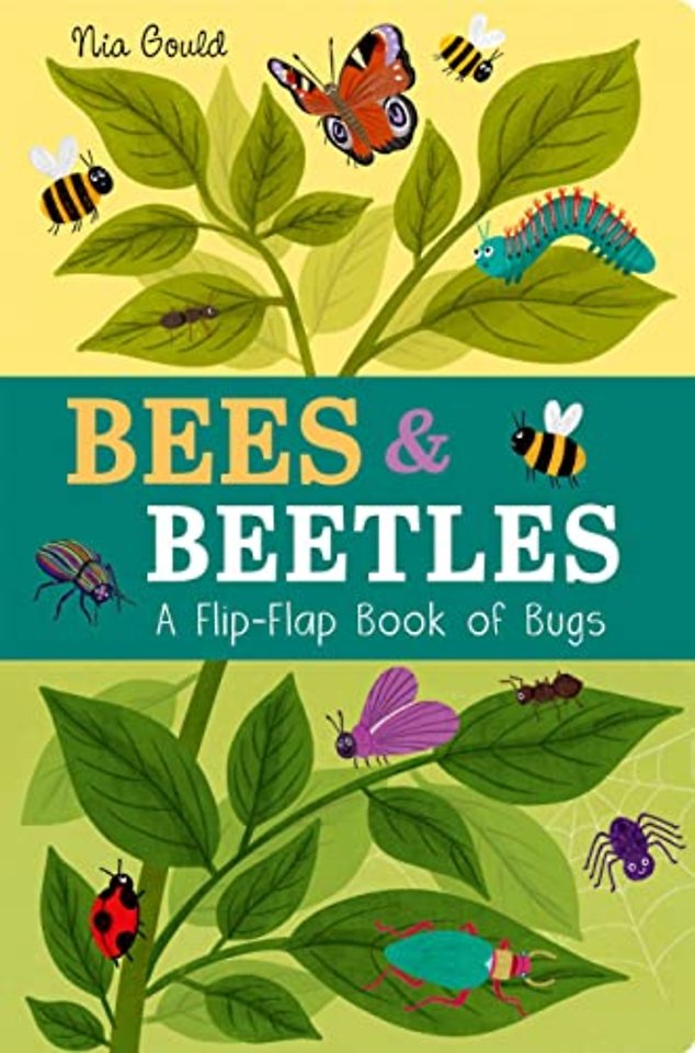Bees & Beetles: A Flip-Flap Book of Bugs