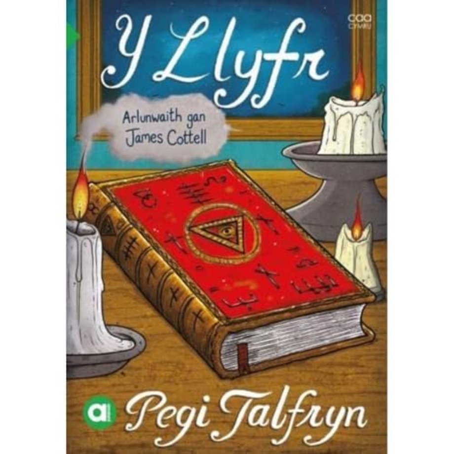 Cyfres Amdani: Y Llyfr