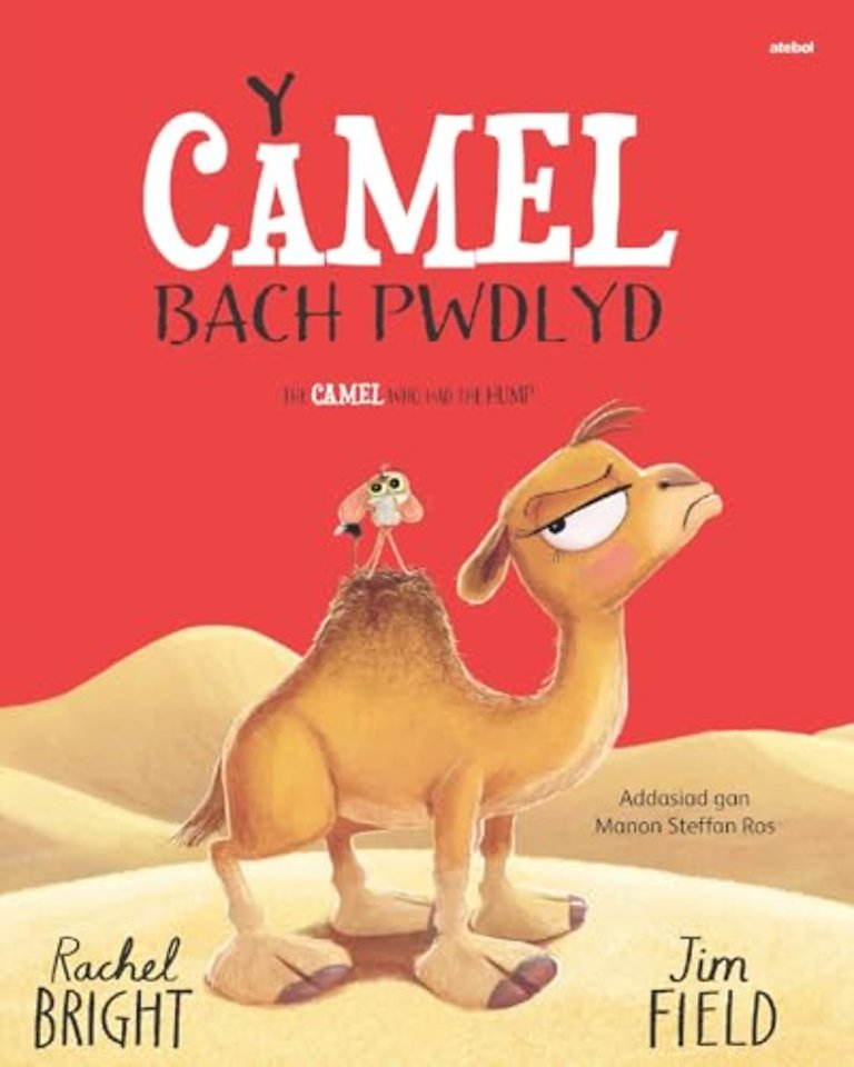 Y Camel Bach Pwdlyd / The Camel who had the hump