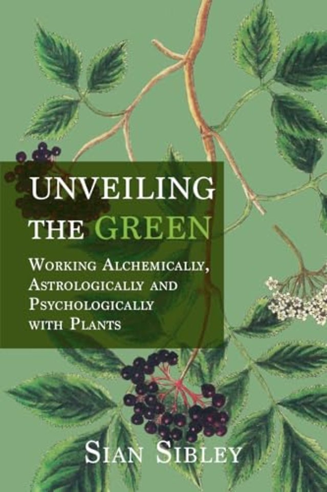 Unveiling the Green