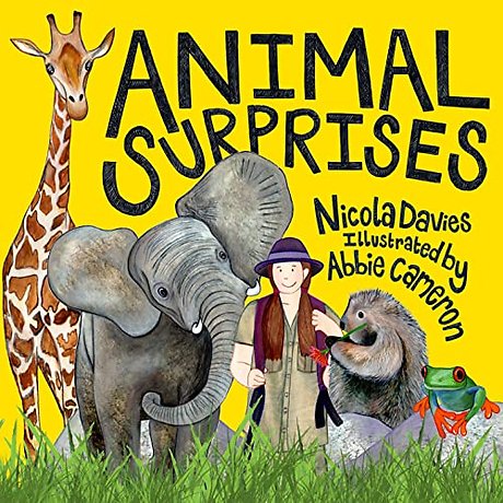 Animal Surprises