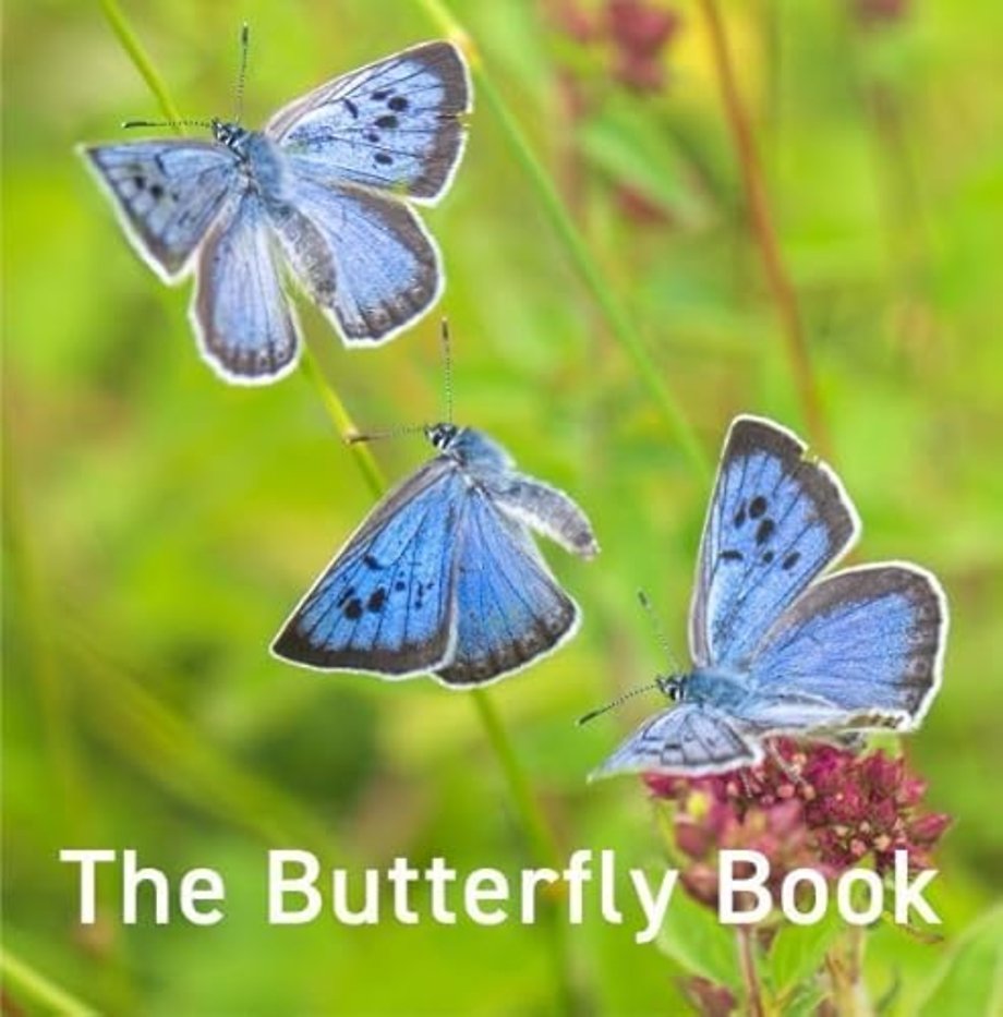 Nature Book Series: The Butterfly Book