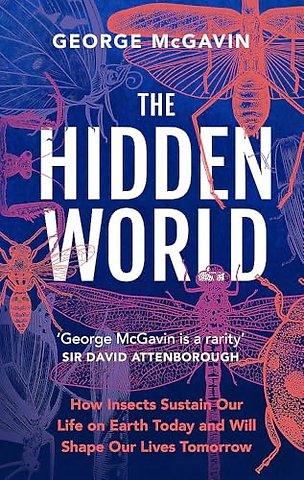 The Hidden World