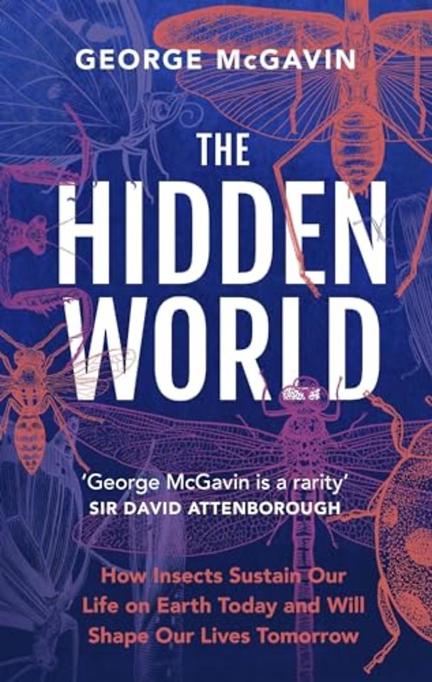 The Hidden World