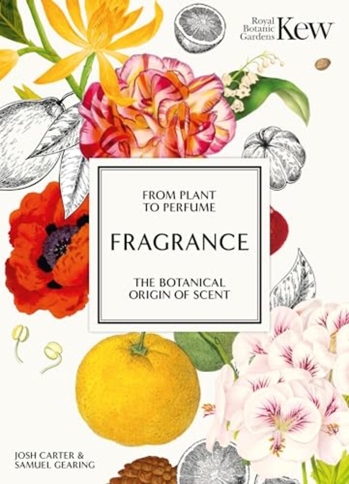Fragrance
