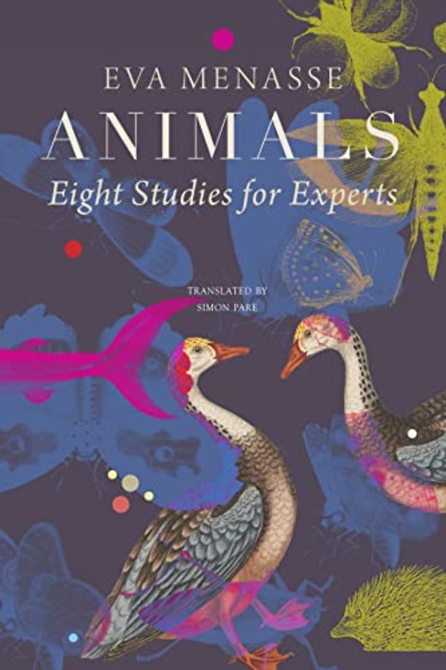 Animals – Eight Studies for Experts