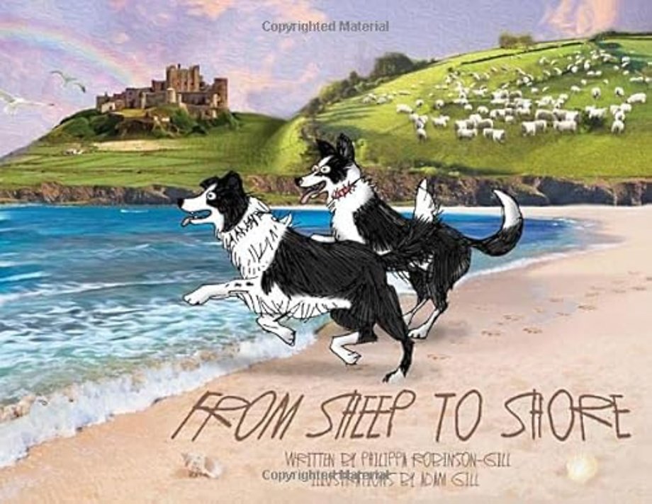 From Sheep to Shore