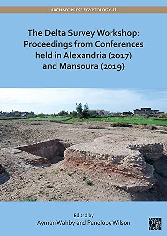The Delta Survey Workshop: Proceedings from Conferences held in Alexandria (2017) and Mansoura (2019)