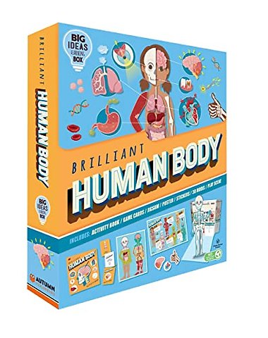 Brilliant Human Body