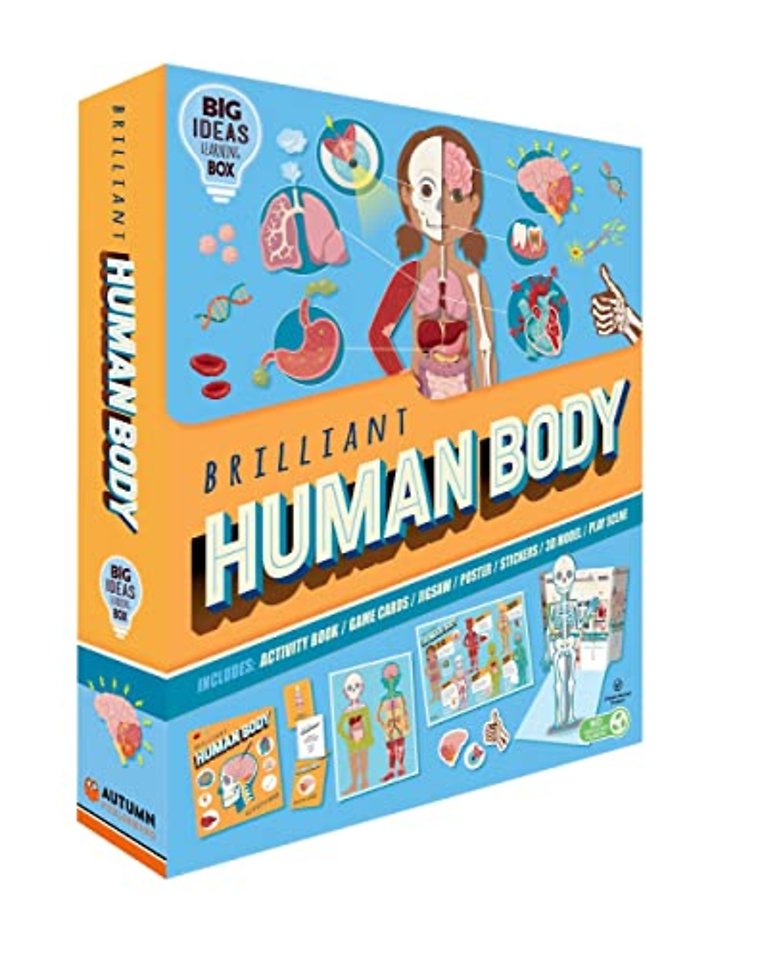 Brilliant Human Body