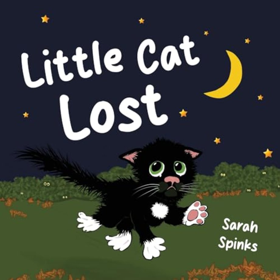 Little Cat Lost