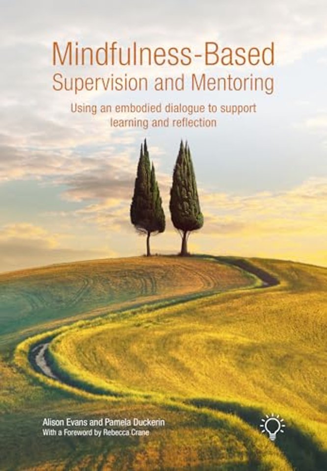 Mindfulness-Based Supervision and Mentoring