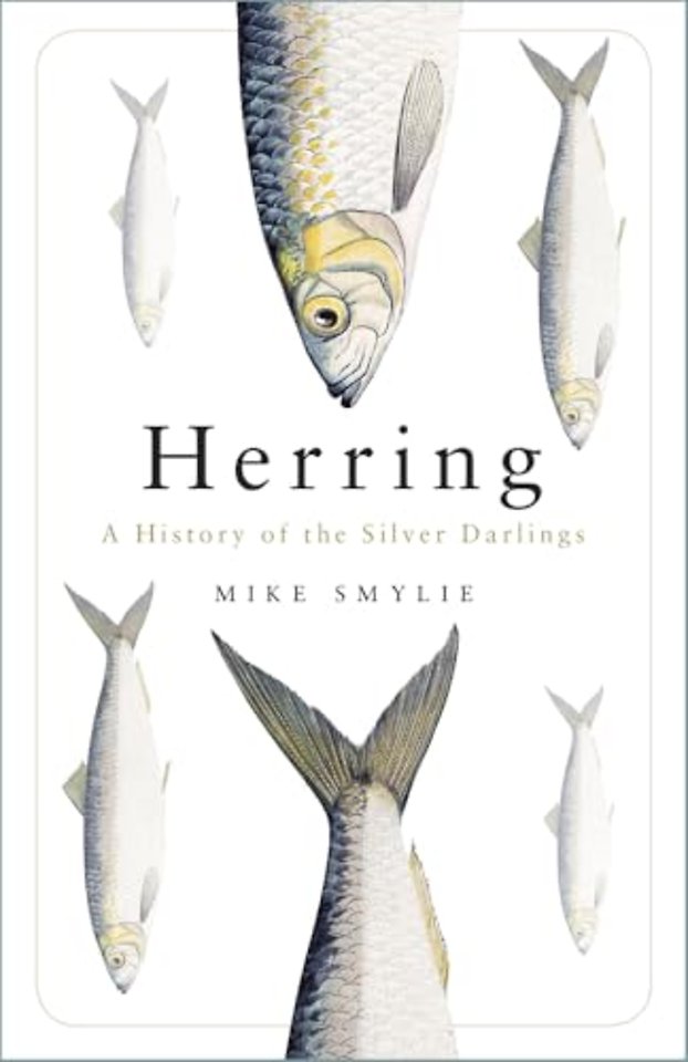 Herring
