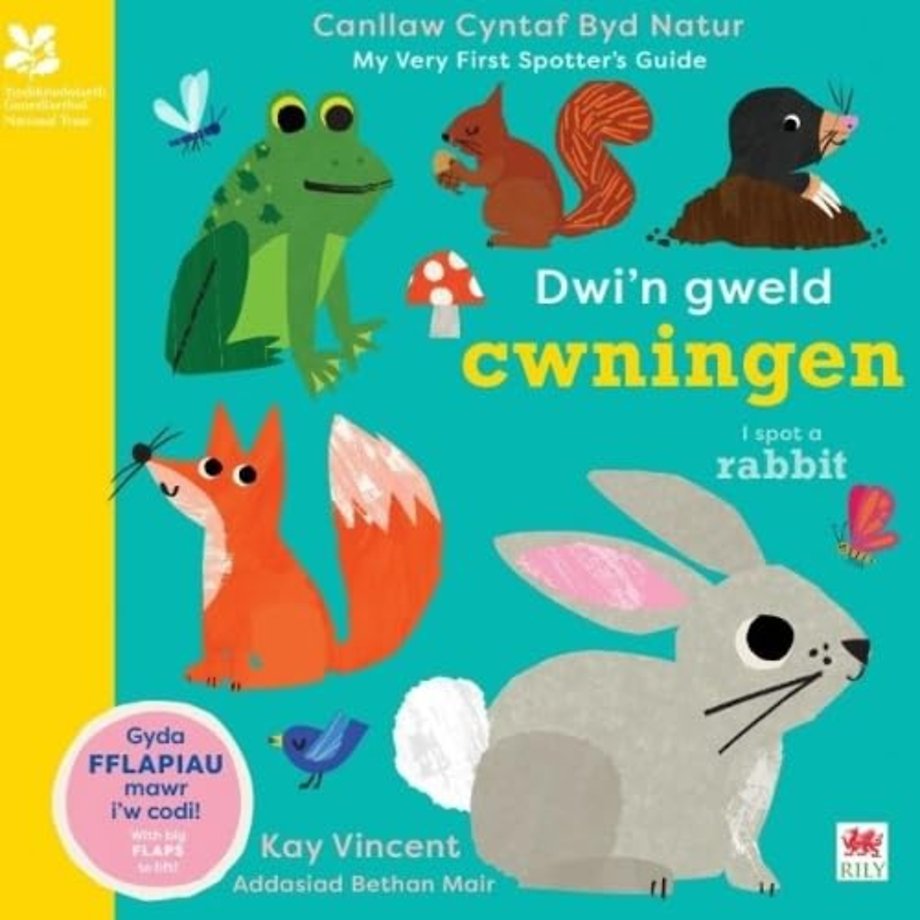 Dwi'n Gweld Cwningen / I Spot a Rabbit