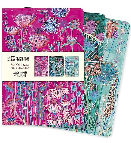 Lucy Innes Williams Set of 3 Midi Notebooks