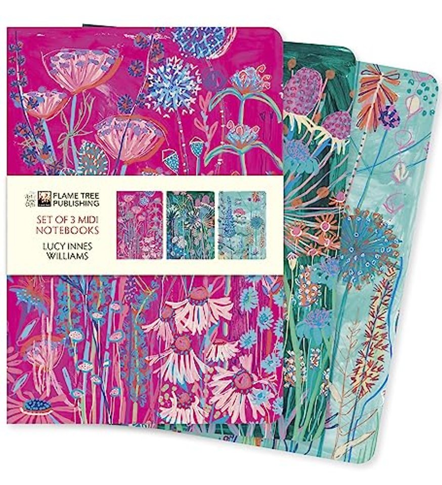 Lucy Innes Williams Set of 3 Midi Notebooks