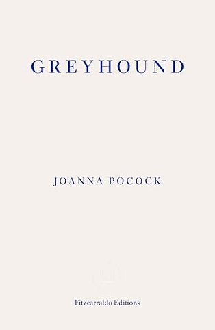 Greyhound