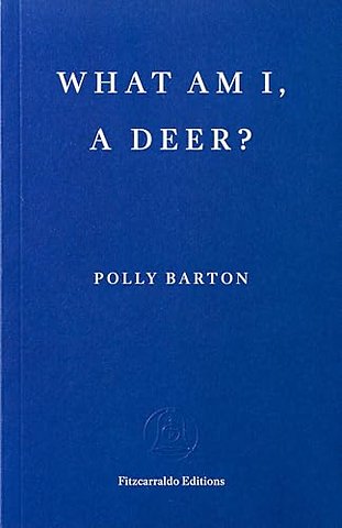 What Am I, A Deer?