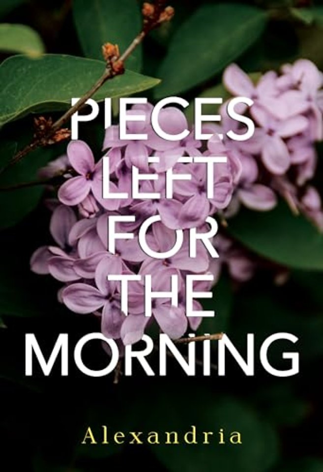 Pieces Left for the Morning