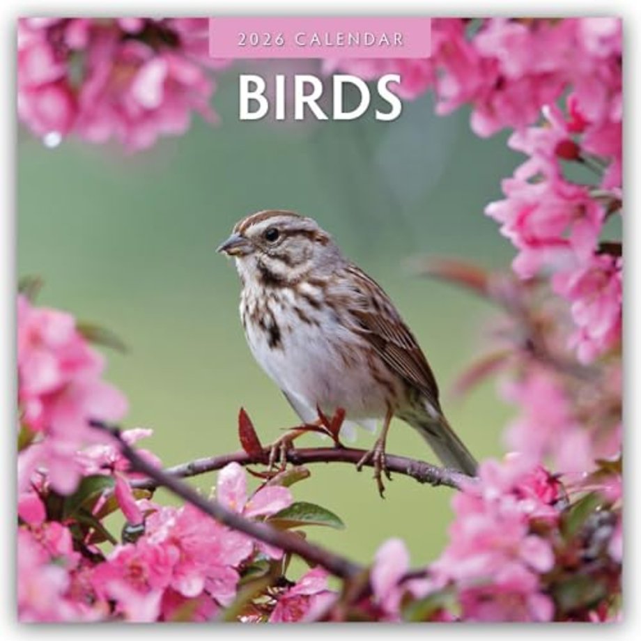 Birds 2026 Square Wall Calendar