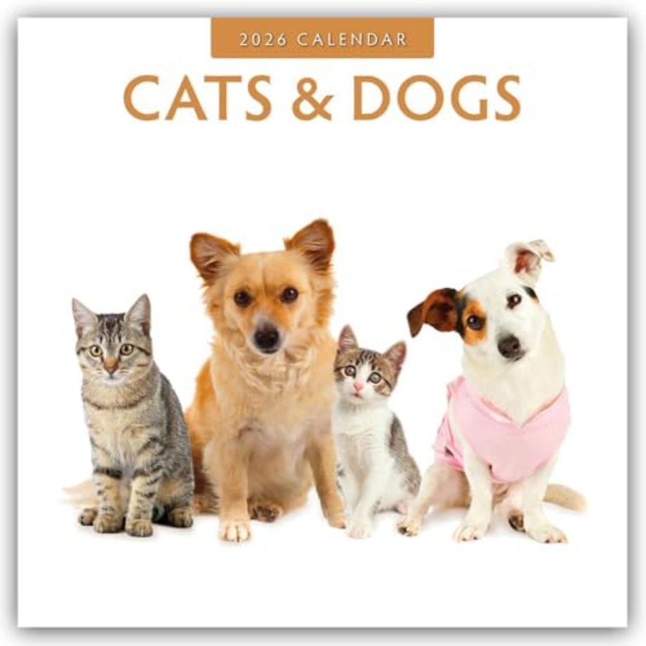 Cats & Dogs 2026 Square Wall Calendar