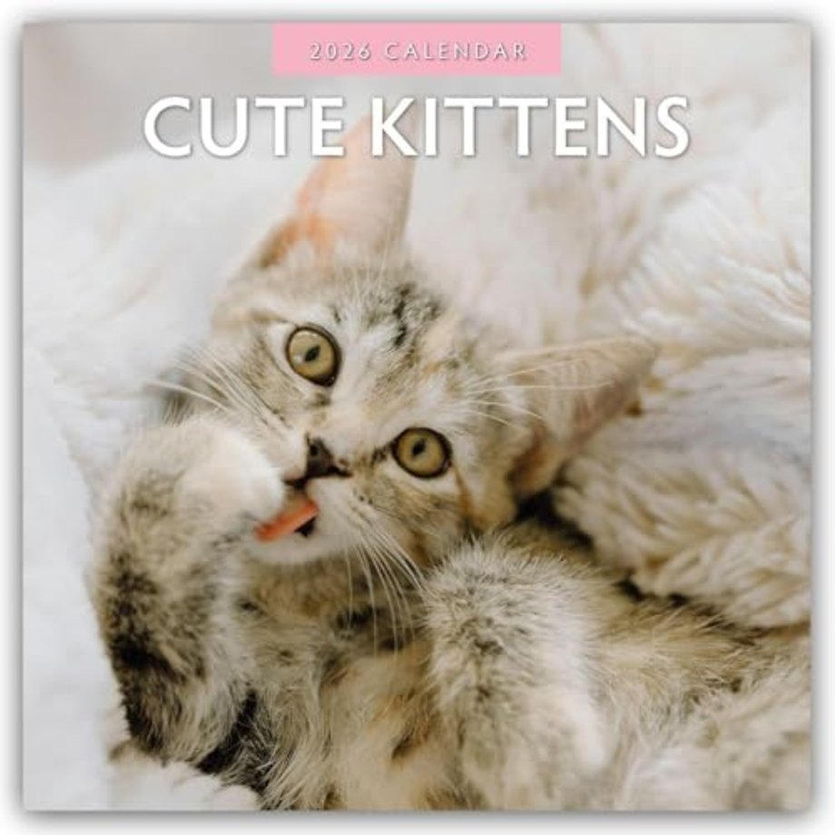 Cute Kittens 2026 Square Wall Calendar