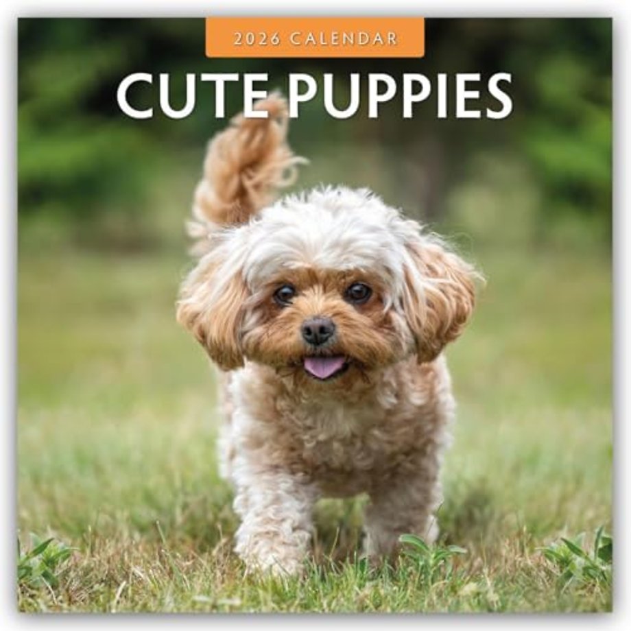 Cute Puppies 2026 Square Wall Calendar
