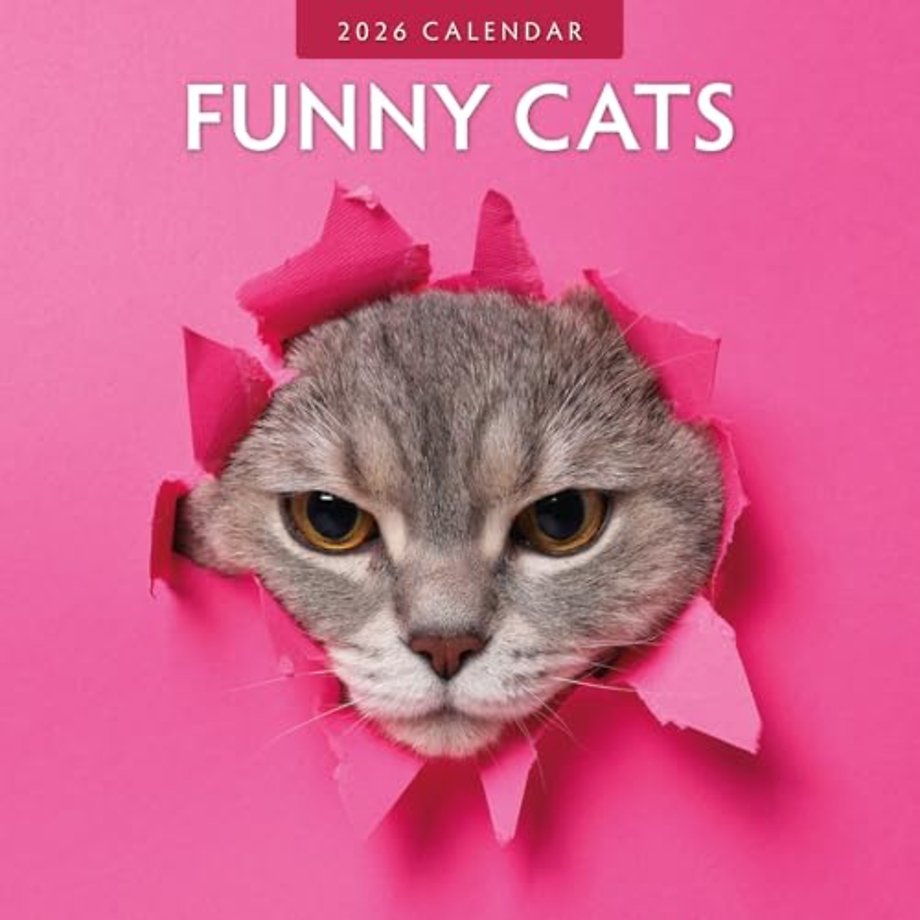 Funny Cats 2026 Square Wall Calendar