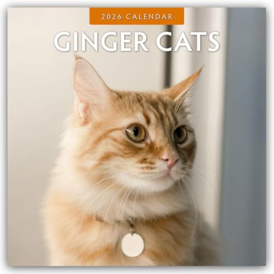 Ginger Cats 2026 Square Wall Calendar