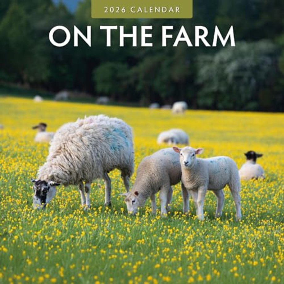 On The Farm 2026 Square Wall Calendar