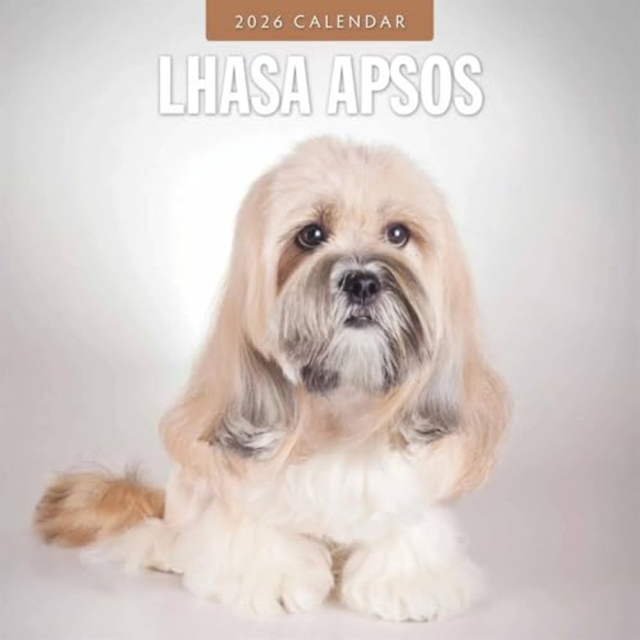 Lhasa Apsos 2026 Square Wall Calendar