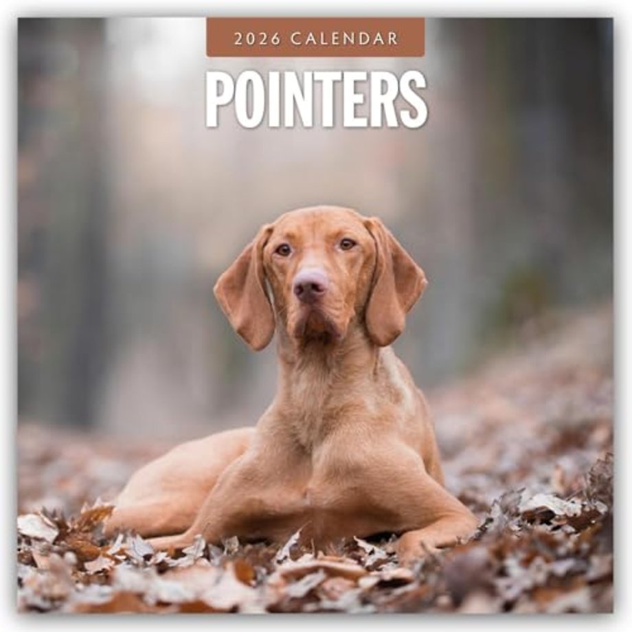 Wildflowers Illustrated 2026 Square Wall Calendar