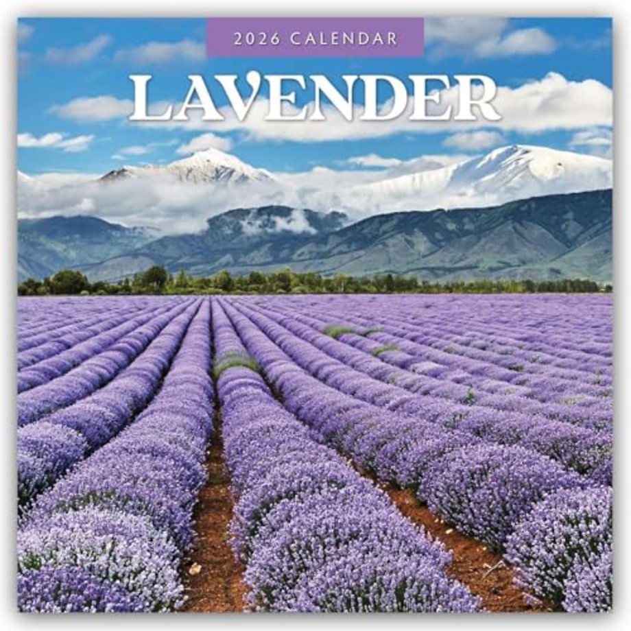 Lavender 2026 Square Wall Calendar