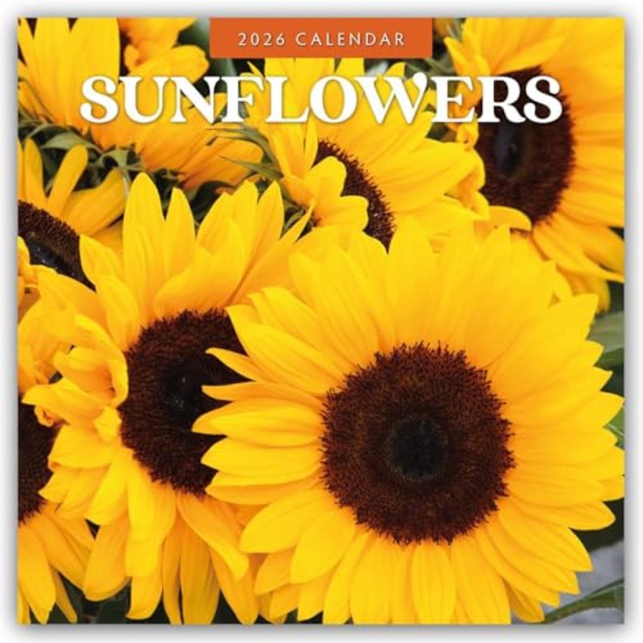 Sunflowers 2026 Square Wall Calendar