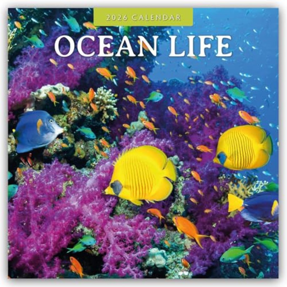 Ocean Life 2026 Square Wall Calendar