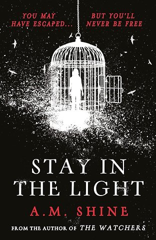 Stay in the Light